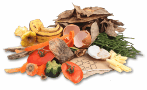 Une nouvelle filière pour traiter les déchets alimentaires​